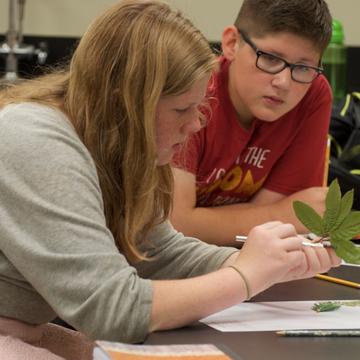 two youth summer camp participants study a plant
