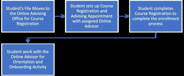 Graphic showing the Online Advising process