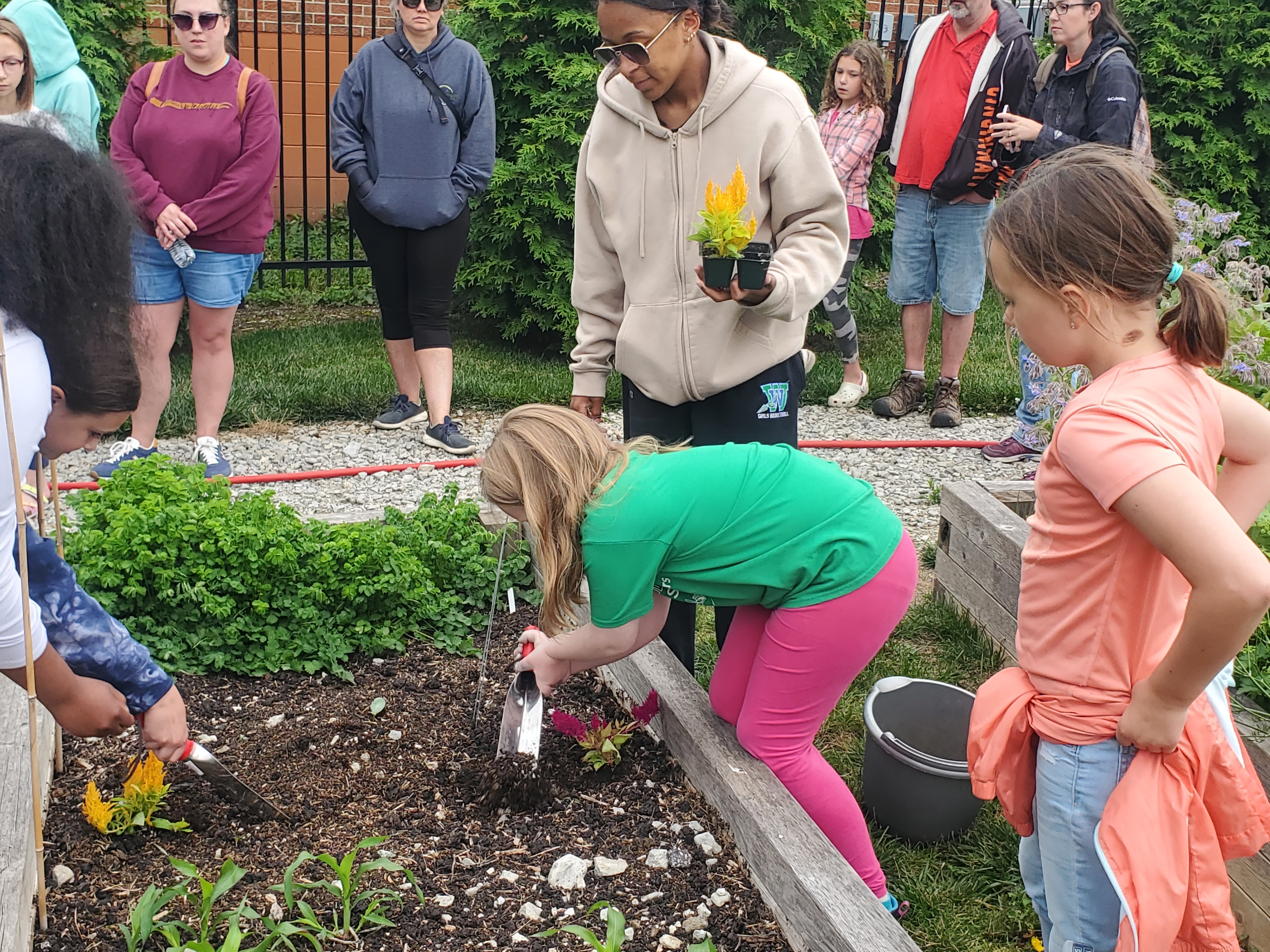 Homeschool students working in a raised garden bed.