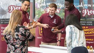 Student tour