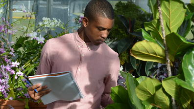 PLANTS