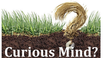 Organic Farmer Research Network - Curious Mind?