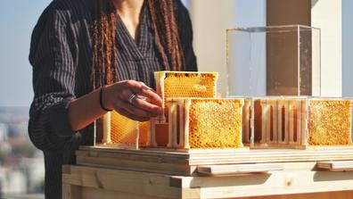 A person with long braids wearing a dark striped shirt works with bee hives in a sustainable agriculture research setting