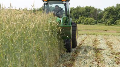 A person driving a farm tractor in a field of crops