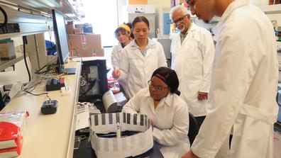 CSU Research Assistant Professor of Entomology Dr. Hongmei Li-Byarlay, works with students in a bee lab while Sharath Krishna, Ph.D., CSU professor of biology and agricultural and life sciences, looks on.