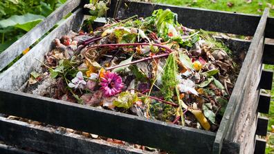 colorful vegetable compost in a box