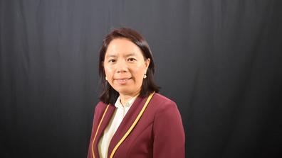 Hongmei Li-Byarlay