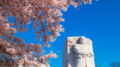 the Martin Luther King Jr. statute in Washington, D.C., with pink flowers in the foreground