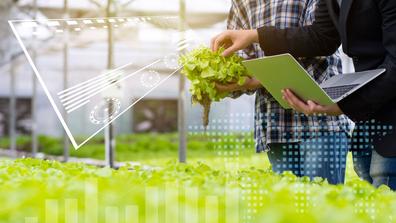 Hydroponic farm with technology, researcher, agricultural expert introduce owner farmer checking good balance of water and oxygen as temperature, lights, pH level, humidity, system of growing plant