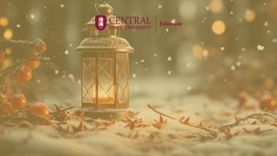 a winter lamp on snow with the central state university extension logo