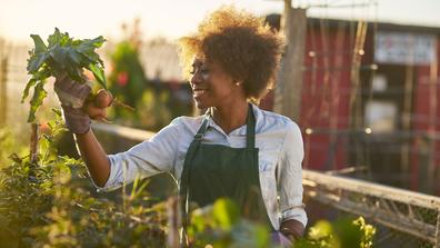 African American urban farmer