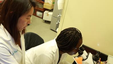 Hongmei Li-Byarlay with undergraduate student researcher Keara Clarke in the Bee Lab at Central State University