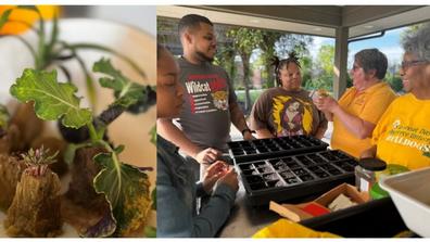 a collage showing an african heritage crop and student researchers with staff leads