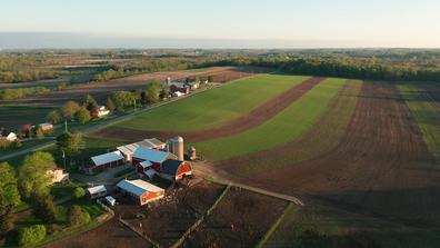 Aerial view of american countryside landscape. Farm, red barn, cows. Rural scenery, farmland. Sunny morning, spring summer season
