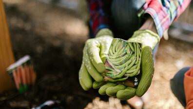 gardening gloves