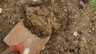 soil health