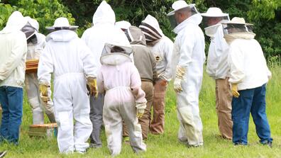participants in bee grafting seminar at central state university