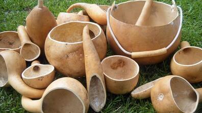 gourds
