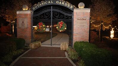 Hero image alternative