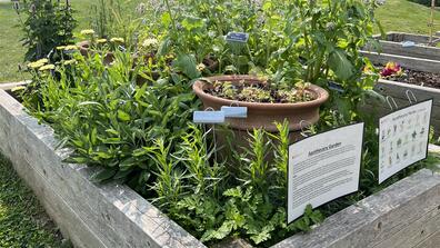 Herb garden