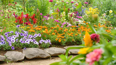summer colors