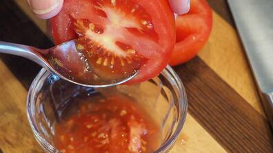 seed saving; click to learn more about this event