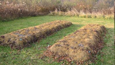 Lasagna garden