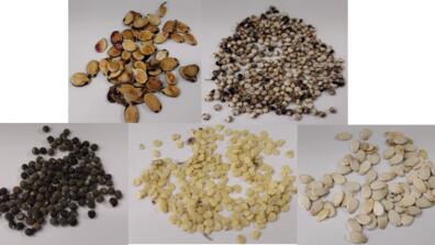 African Heritage Seeds
