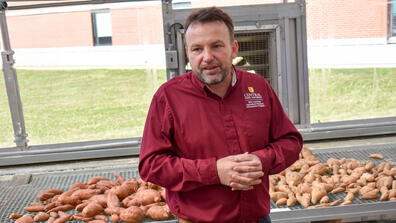 Nagle and potatoes wide