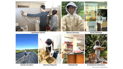 Student interns