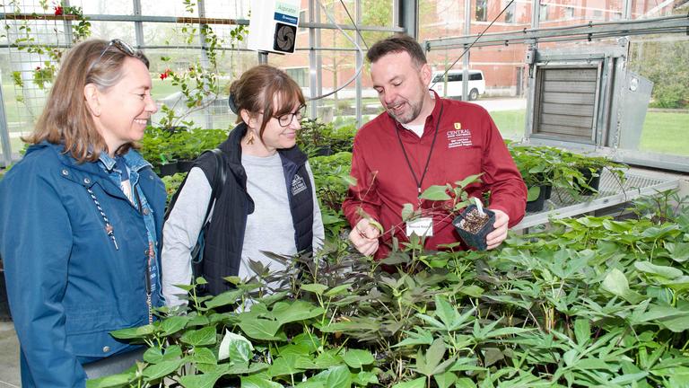 Three people stand behind greenery to learn about agricultural research at Central State.