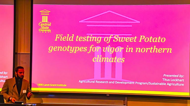a person stands before a large screen sharing results of field testing of sweet potato genotypes