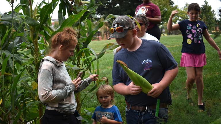 youth stand beside a cornfield while holding ears of corn