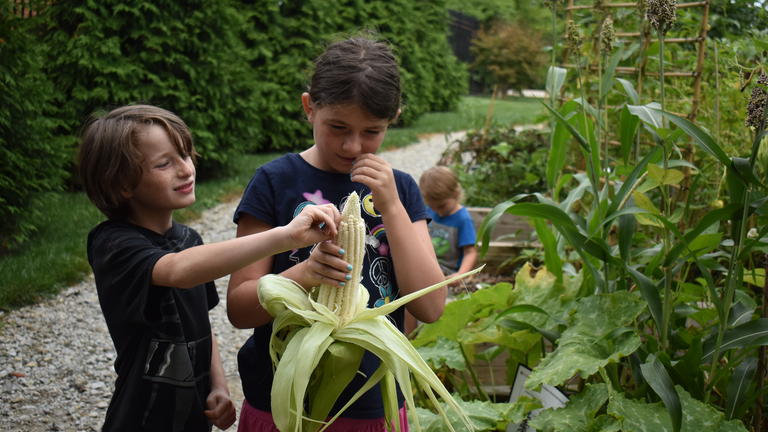 two children look over an ear of corn