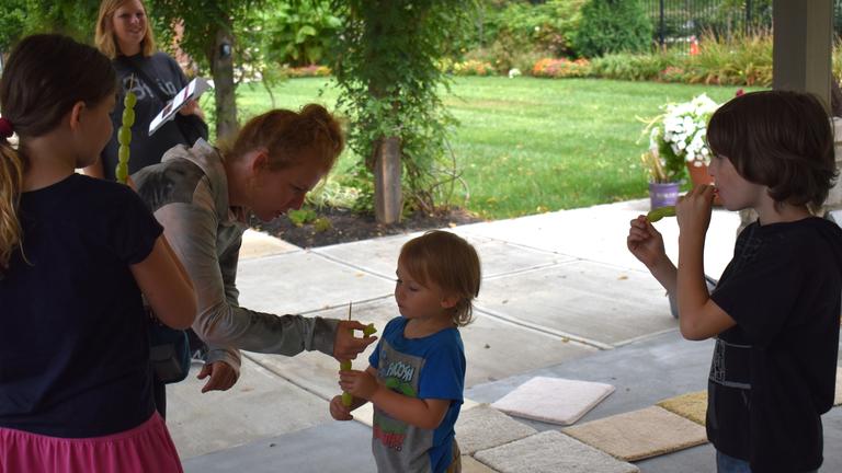 an adult helps a small child eat grapes off a stick while two other children munch grapes nearby