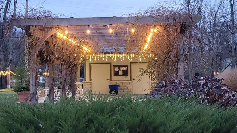 a building decorated with winter lights at the winter illumination ceremony at central state university