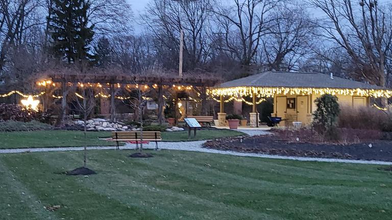 buildings lit up for winter