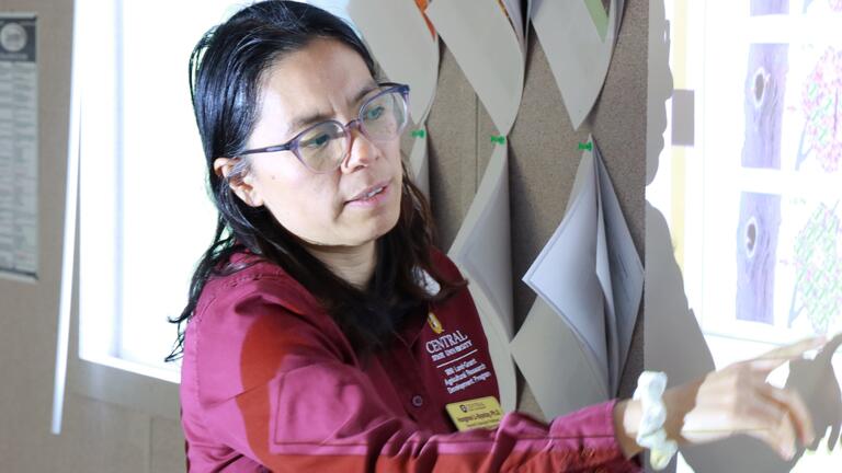 Hongmei Li-Byarlay presenting