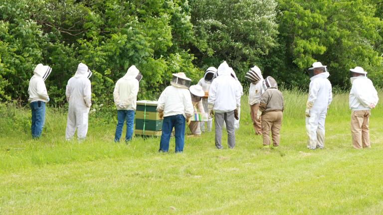 bee lab grafting seminar participants outdoors in beekeeping gear
