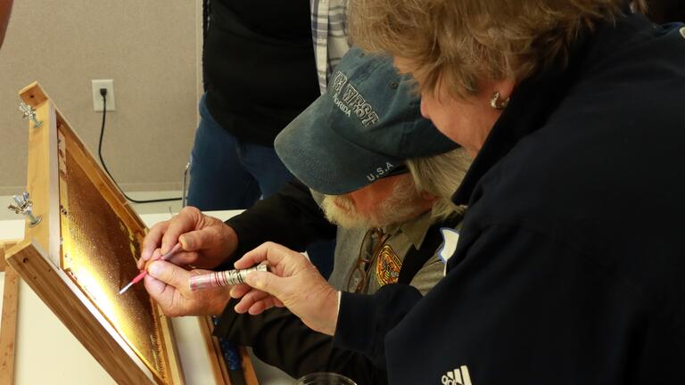 man in a hat working on bee grafting with a central state university extension associate