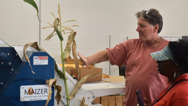 At the corn lab