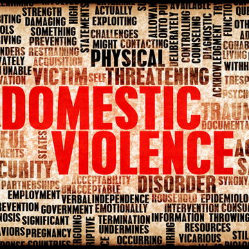 Title IX Domestic Violence
