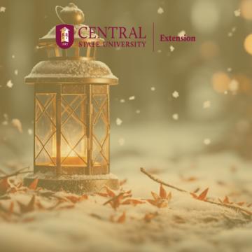 a winter lamp on snow with the central state university extension logo