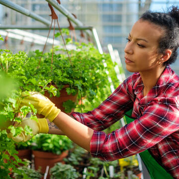 an african american woman cultivates plants in a botanical garden