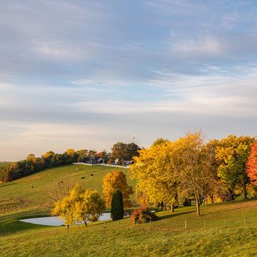 Colorful autumn trees and a pond on a hillside in Amish country, Ohio
