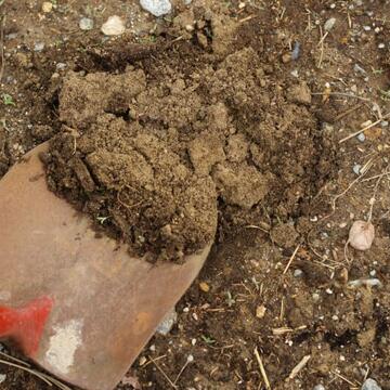 soil health