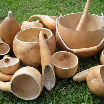 gourds