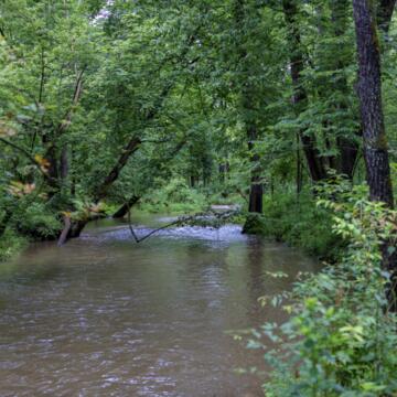 river