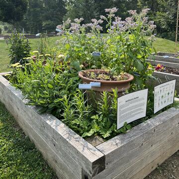 Herb garden