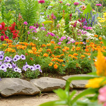 summer colors
